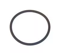 Seal Ring