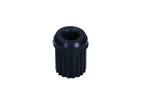 Bushing, leaf spring