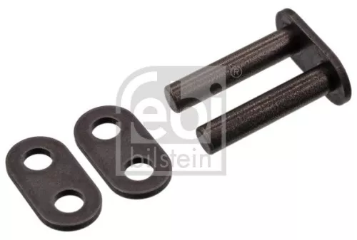 Link, timing chain