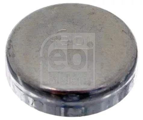 Frost Plug