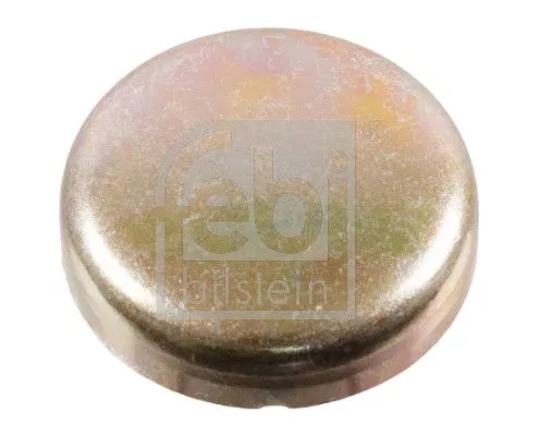 Frost Plug