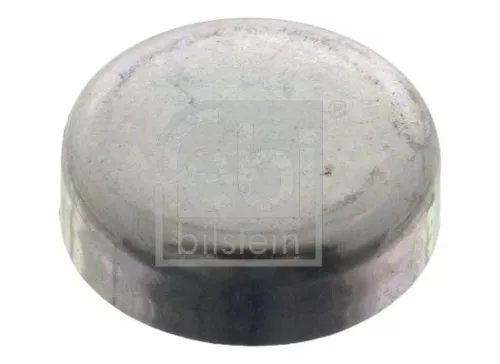 Frost Plug