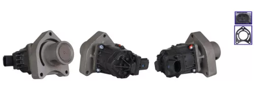 EGR Valve