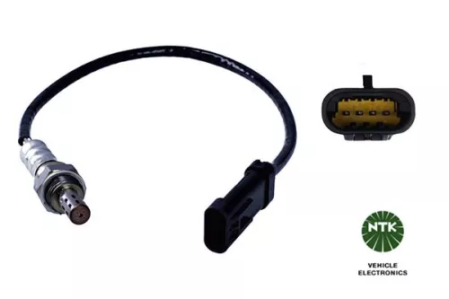Oxygen Sensor