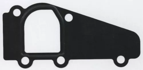 Gasket, coolant flange