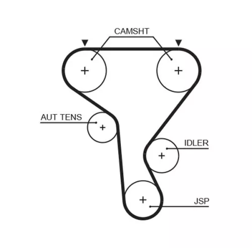 Timing Belt