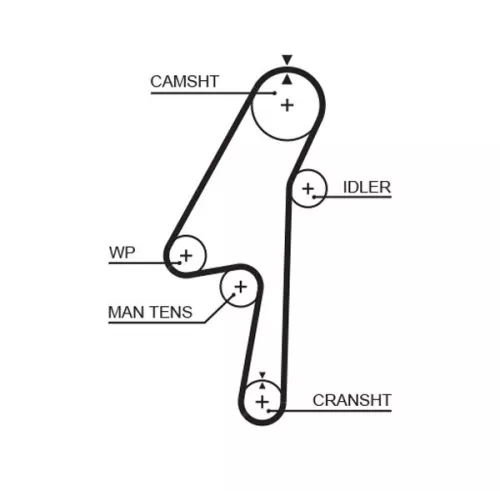 Timing Belt