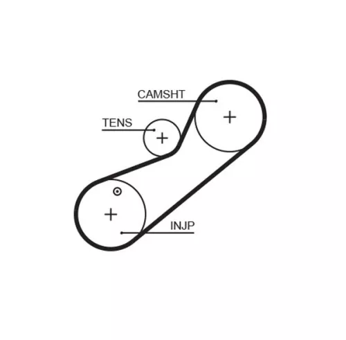 Timing Belt