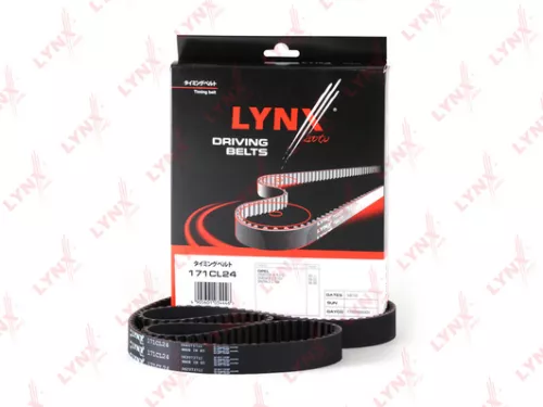 Timing Belt