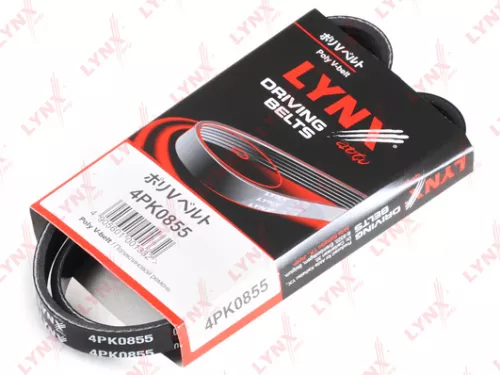 Poly V-Belt