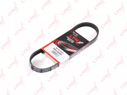 Poly V-Belt