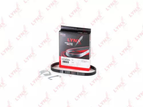 Poly V-Belt, elastic