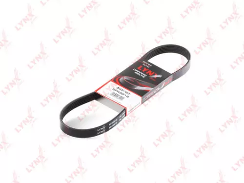 Poly V-Belt