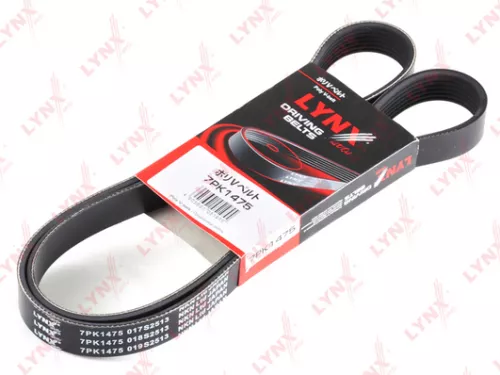 Poly V-Belt