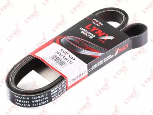 Poly V-Belt