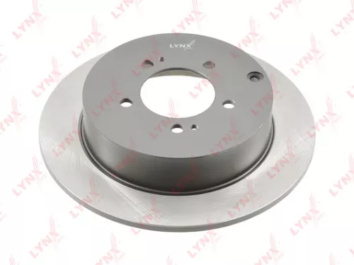 Brake disc, rear (302x10)