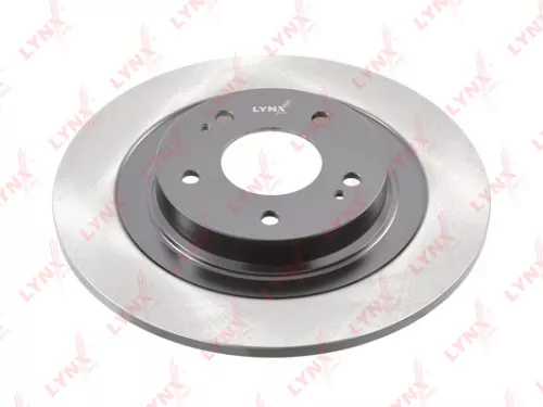 Brake disc, rear (302x10)