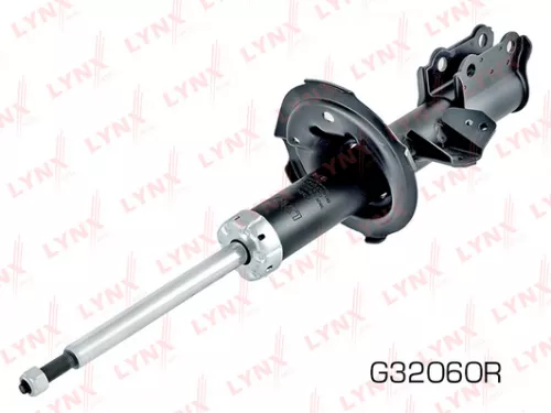 Shock absorber strut gas, right, front