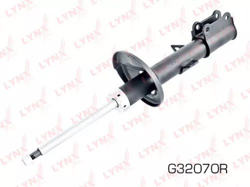 Shock absorber strut gas, right, rear
