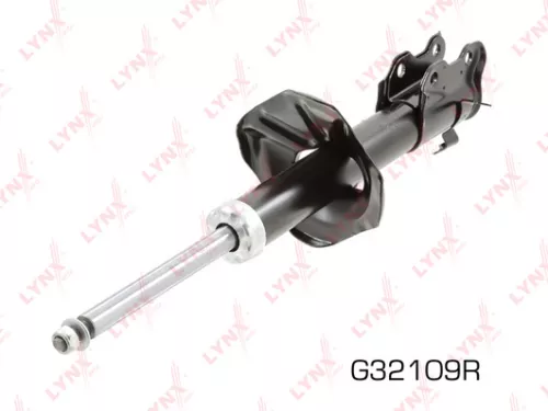 Shock absorber strut gas, right, front
