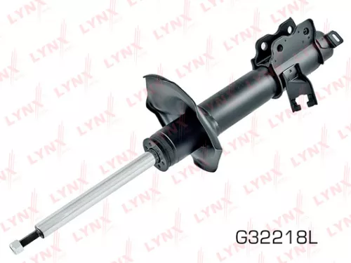 Shock absorber strut gas, left, rear