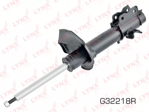 Shock absorber strut gas, right, rear