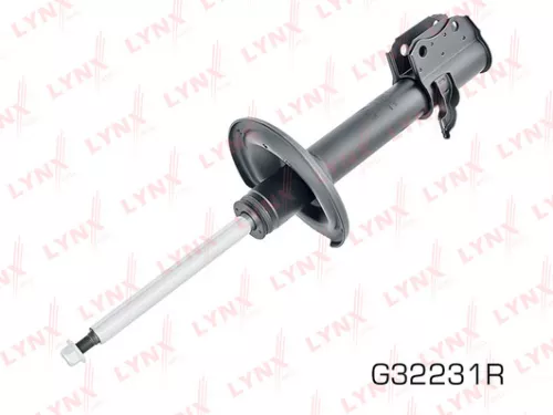 Shock absorber strut gas, right, rear