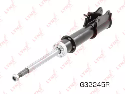Shock absorber strut gas, right, front