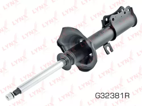 Shock absorber strut gas, right, front