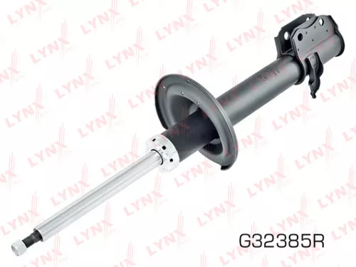 Shock absorber strut gas, right, rear