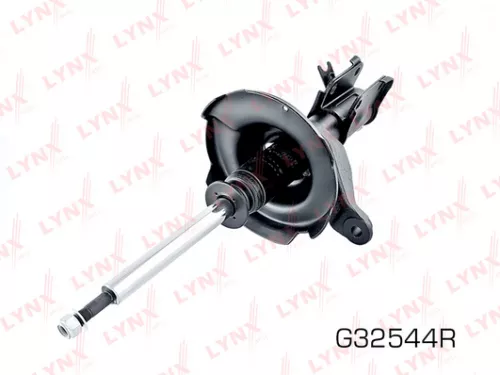 Shock absorber strut gas, right, front