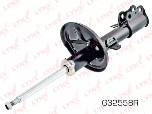 Shock absorber strut gas, right, front