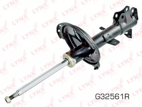 Shock absorber strut gas, right, rear