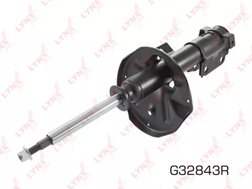 Shock absorber strut gas, right, front
