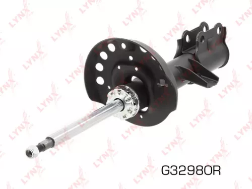 Shock absorber strut gas, right, front