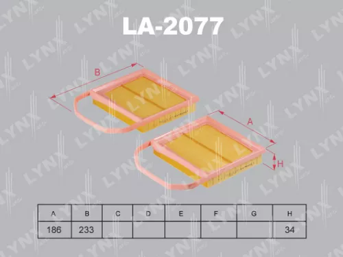 Air filter (x2)